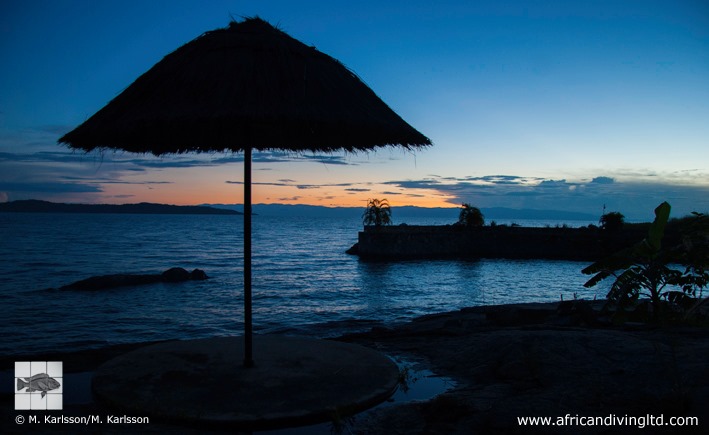 African Diving Fish Station, Katoba Rock 02
